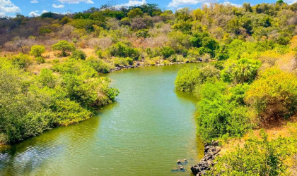 Desmatamento ilegal no Piauí tem redução histórica de quase 68%