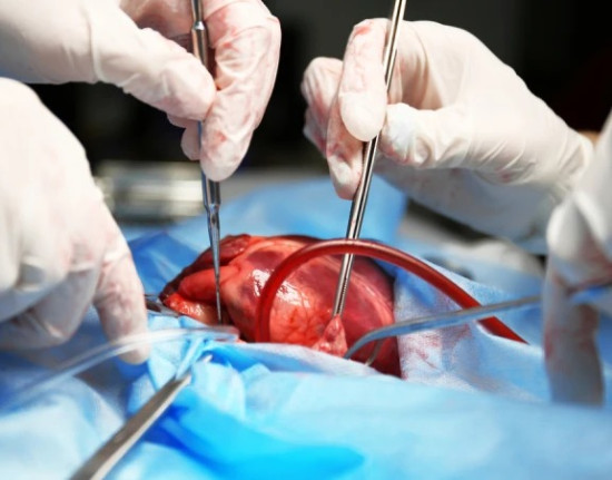 Mais de 570 piauienses aguardam transplante; córnea é o mais solicitado