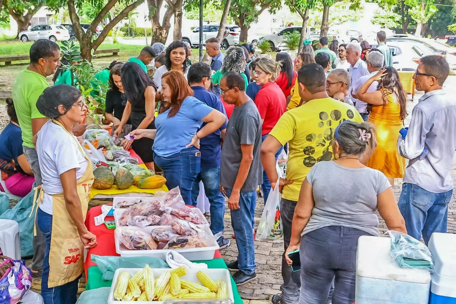 SAF levará Quitanda da Agricultura Familiar a novas cidades do Piauí