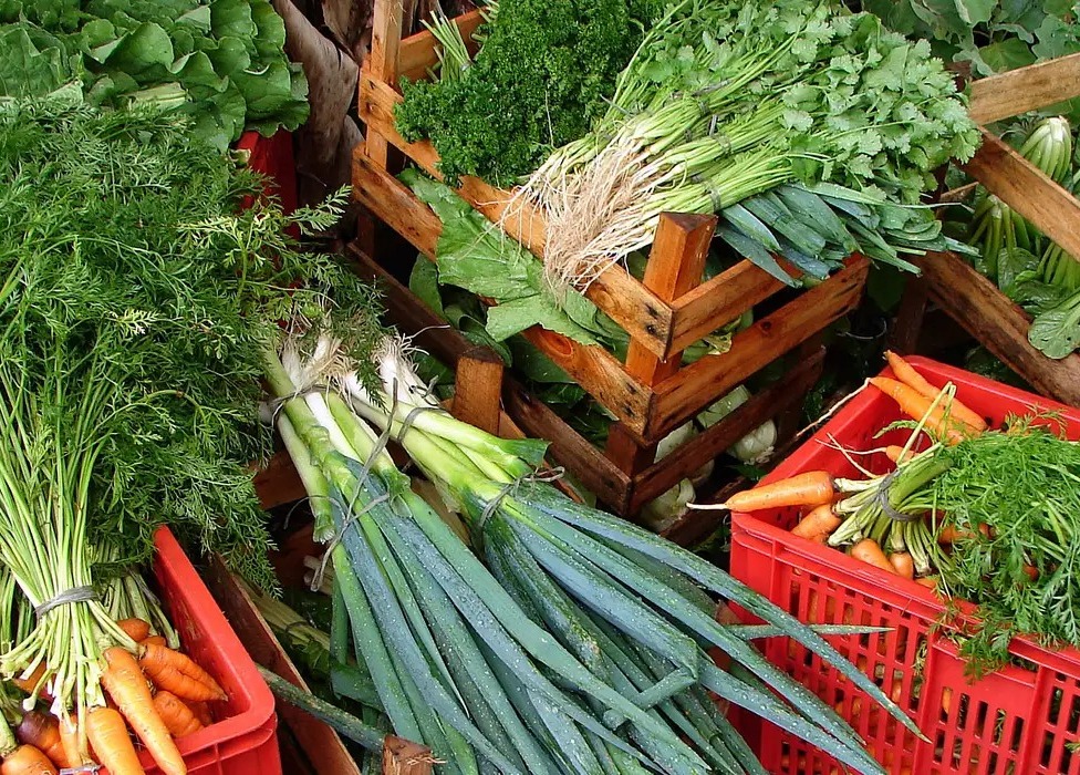 Custo de cesta básica ideal para uma pessoa chega a R$ 432 em abril