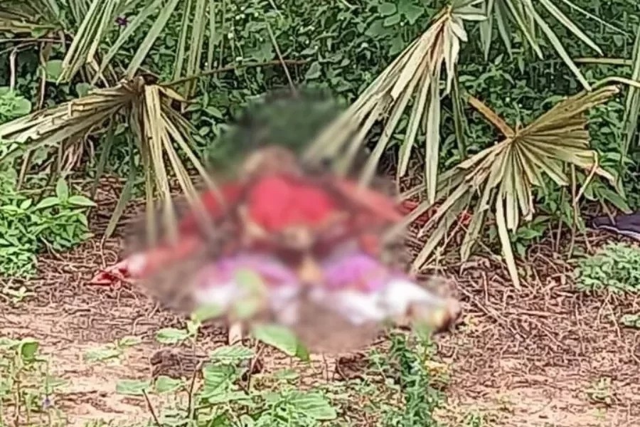 Corpo em decomposição é encontrado em matagal de Parnaíba