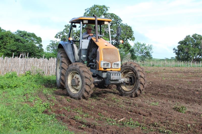 Quase 90% da população de cidade piauiense vive na zona rural; saiba qual