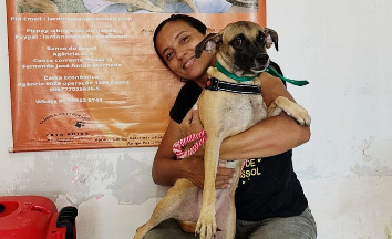 No último trimestre, foram realizadas 420 denúncias de maus-tratos a animais