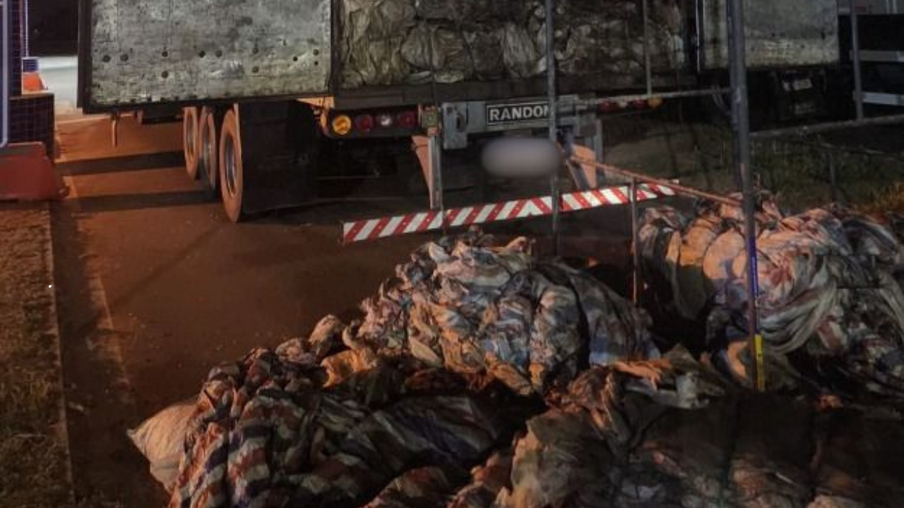 PRF apreende quase 58 m³ de madeira ilegal e anfetaminas escondidas em caminhão na BR-316 em Picos