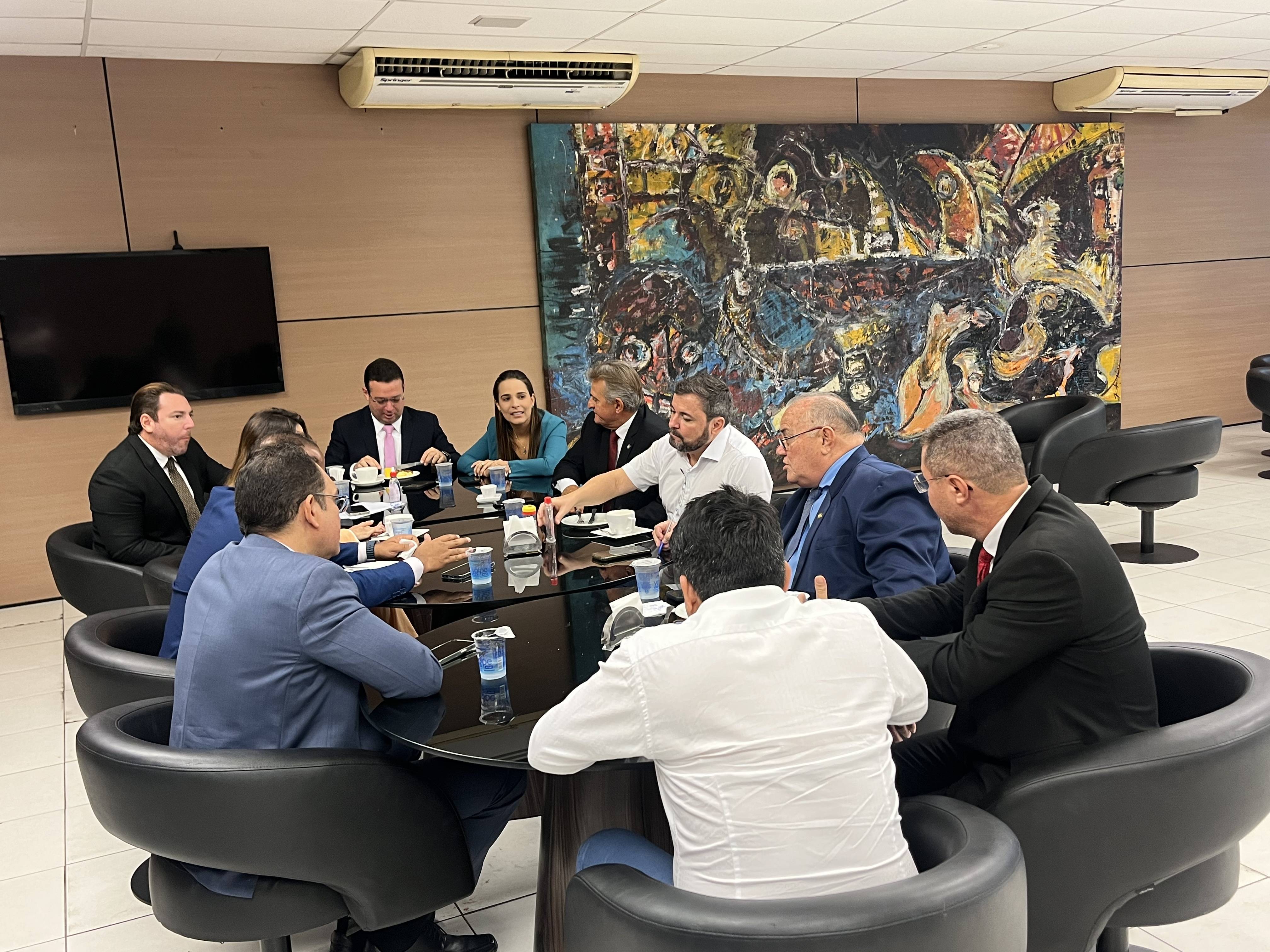 Fábio Novo se reúne com vereadores de Teresina e articula eleições de 2024