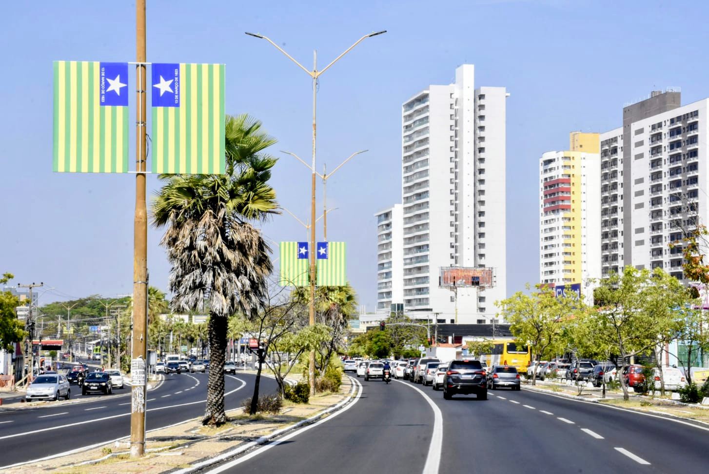 Bandeira do Piauí se espalha por ruas e pontes em homenagem ao estado
