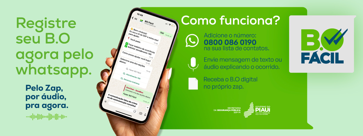 Piauí lança primeiro BO via WhatsApp do Brasil na segunda (30)