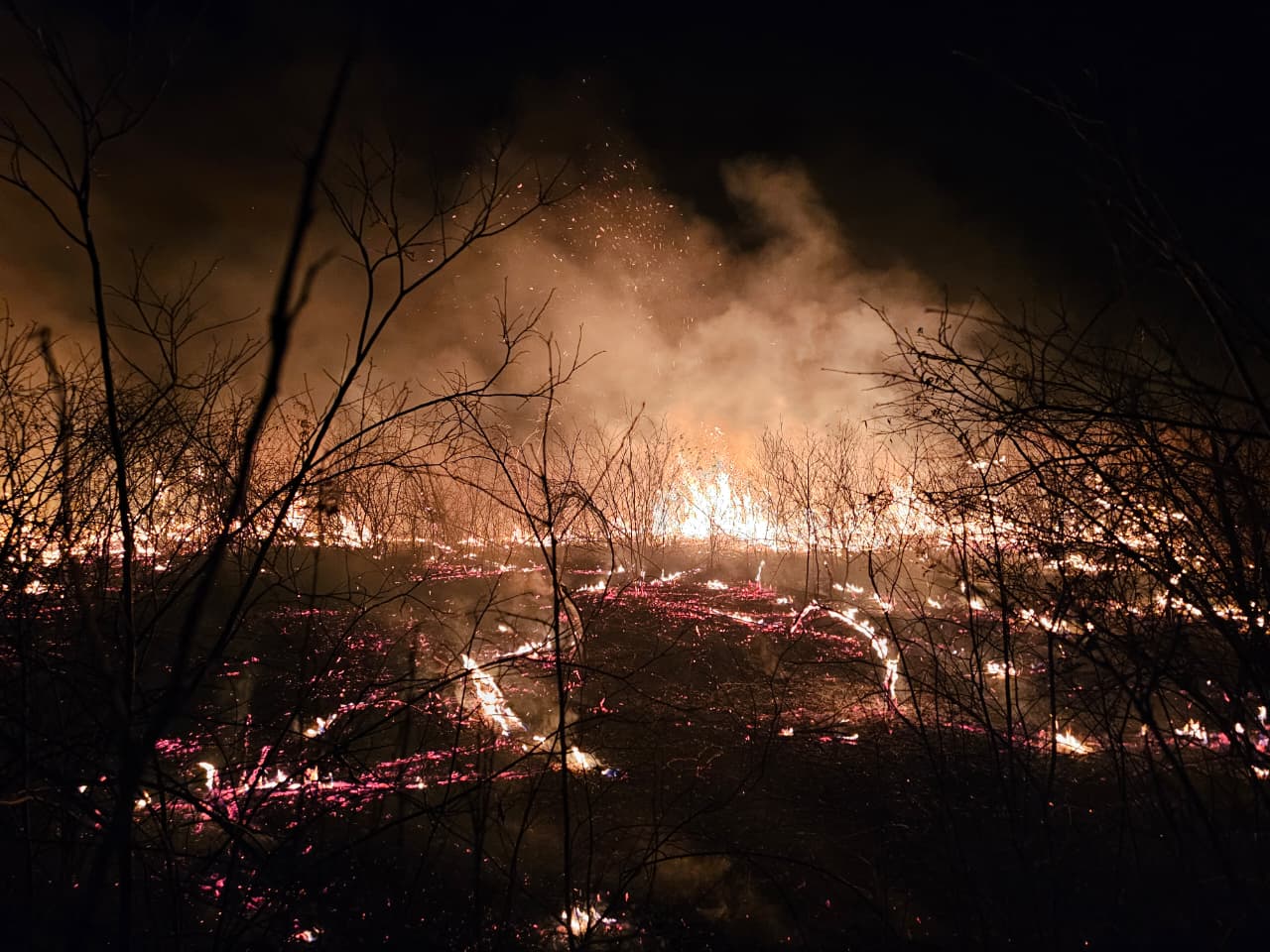 Brigadistas controlam incêndio de grandes proporções em Pimenteiras