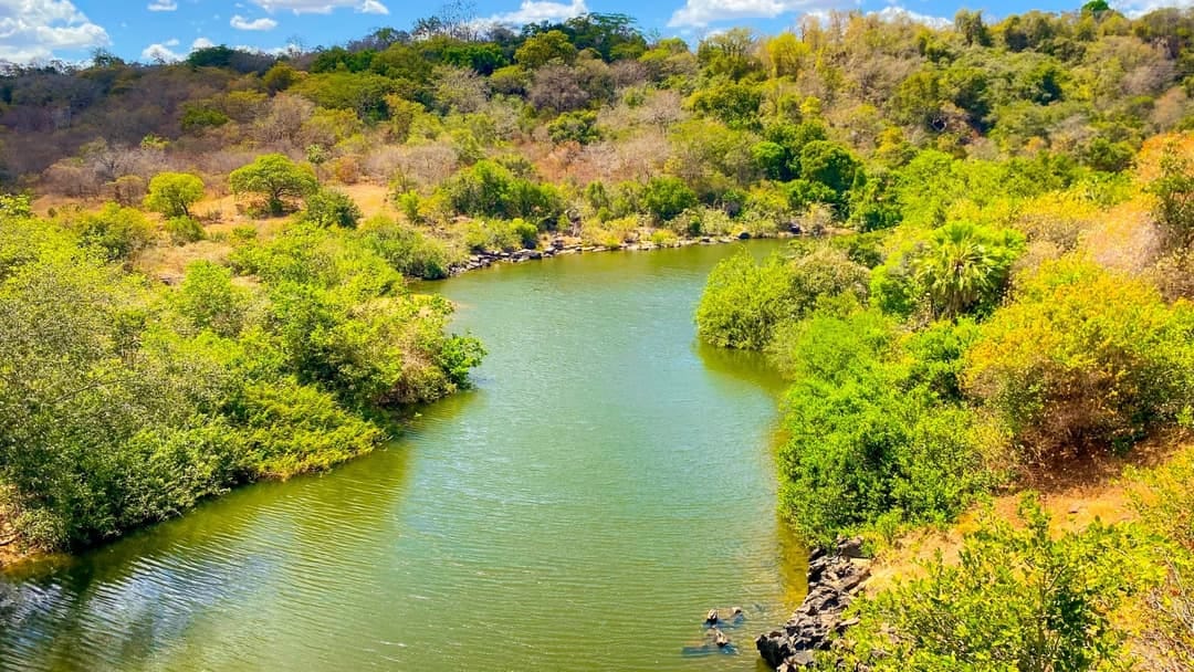 Desmatamento ilegal no Piauí tem redução histórica de quase 68%