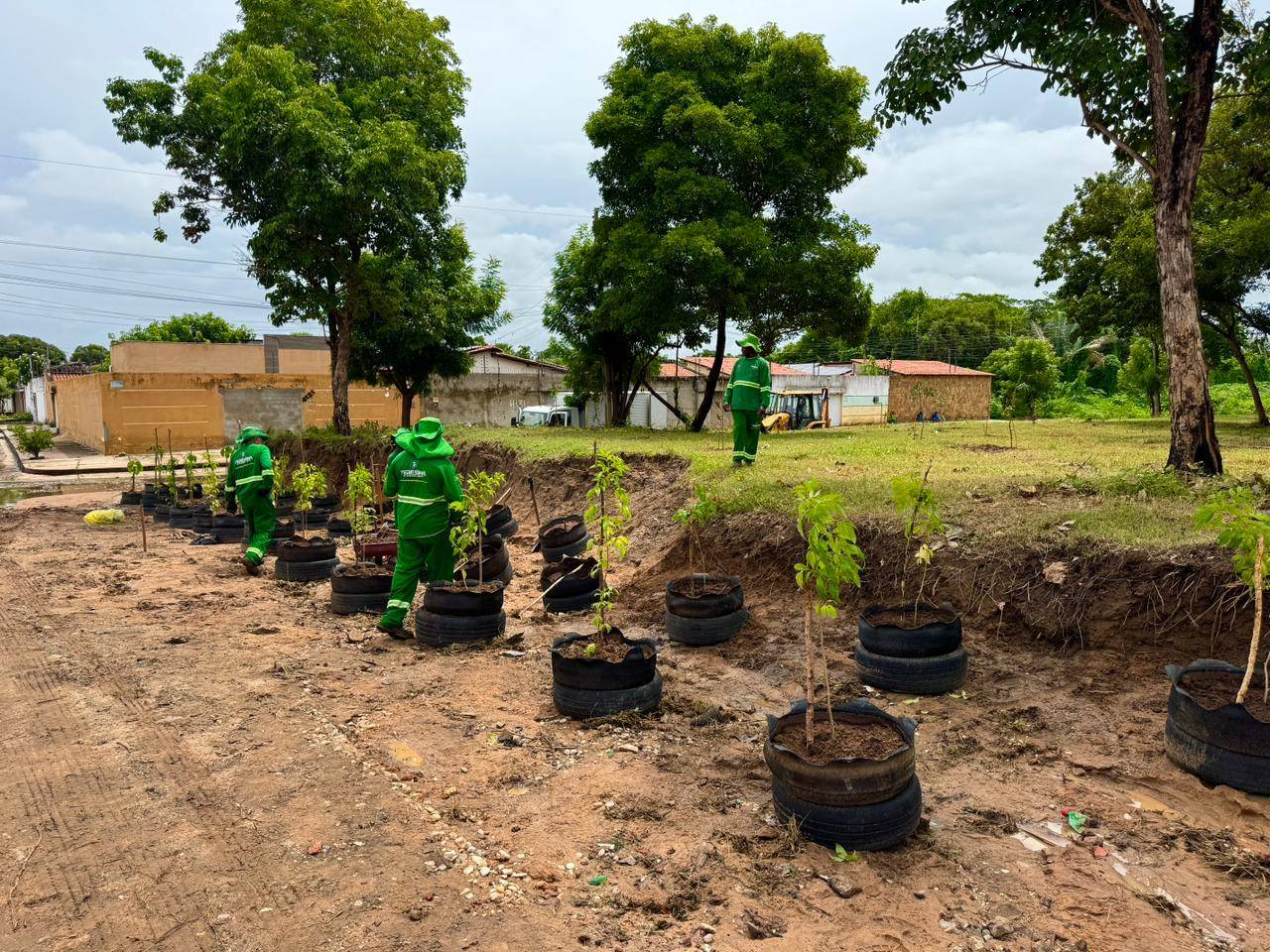 Grande Teresina ganha estratégia inédita para proteger biodiversidade e combater riscos climáticos