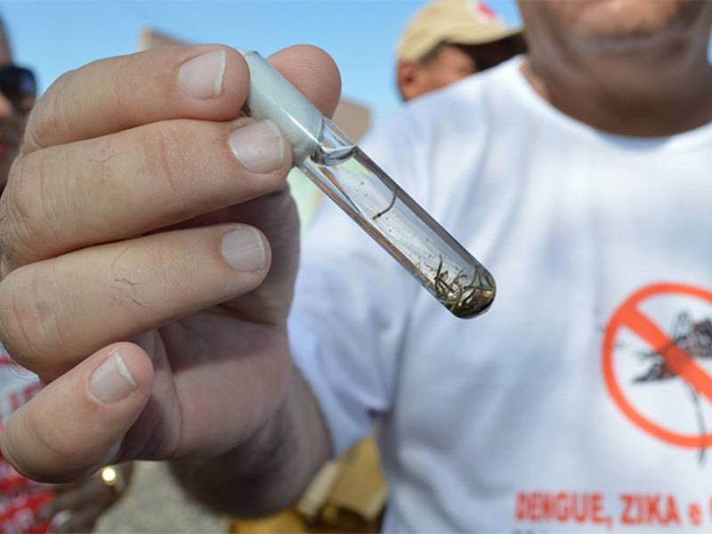 Teresina confirma dengue tipo 3 após anos sem registros