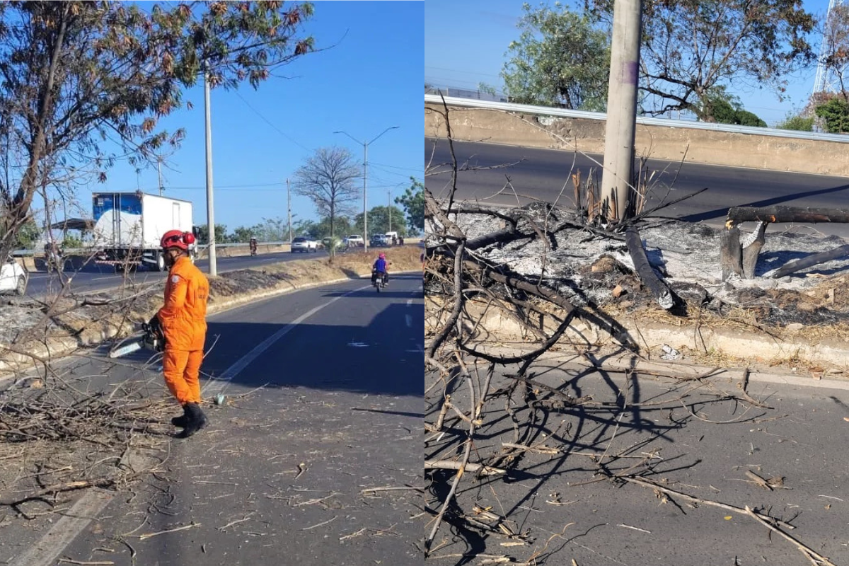 Motociclista fica ferida após queda de árvore em chamas na BR-316