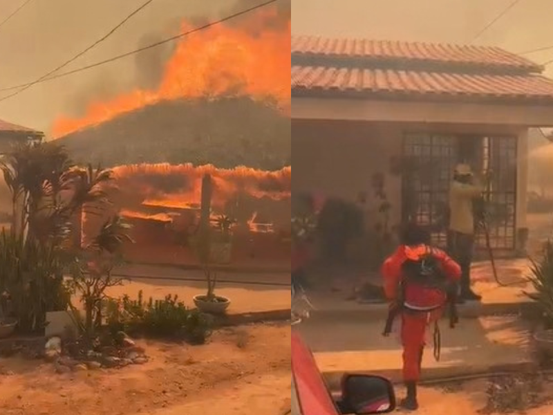 Incêndio em vegetação atinge sítio e mata galinhas em Bom Jesus