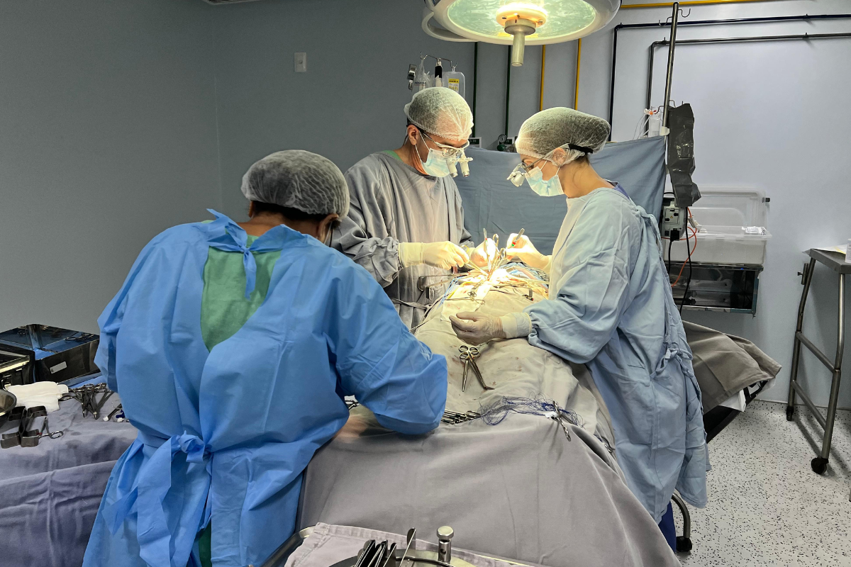 HGV realiza segundo transplante renal intervivo do ano no Piauí