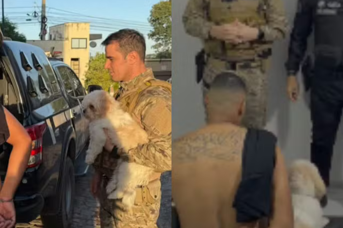 Cachorro acompanha tutor durante prisão e permanece ao lado dele durante ação policial em Teresina