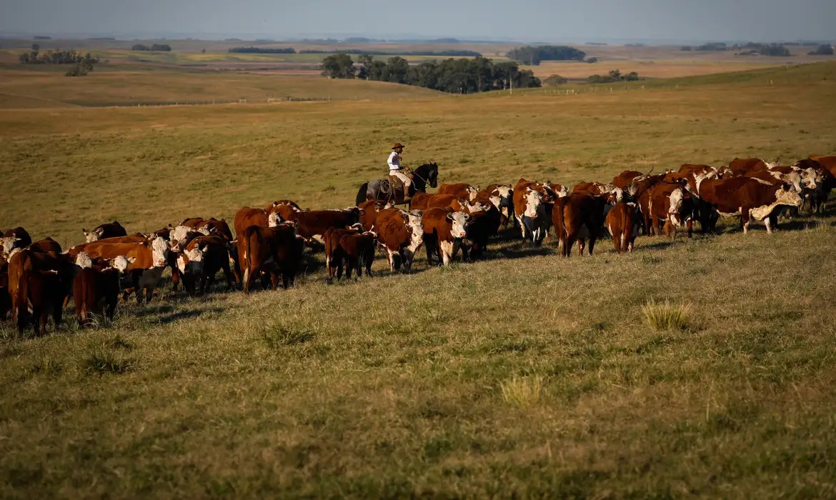 PIB do Brasil cresce 1,4% no 1º trimestre de 2025 pela agropecuária