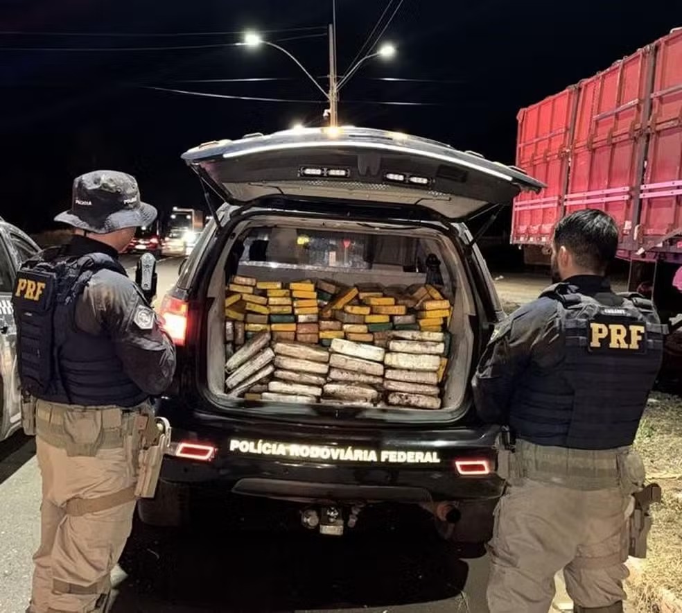 PRF intercepta carga com mais de 200 kg de cocaína e skunk em rodovia
