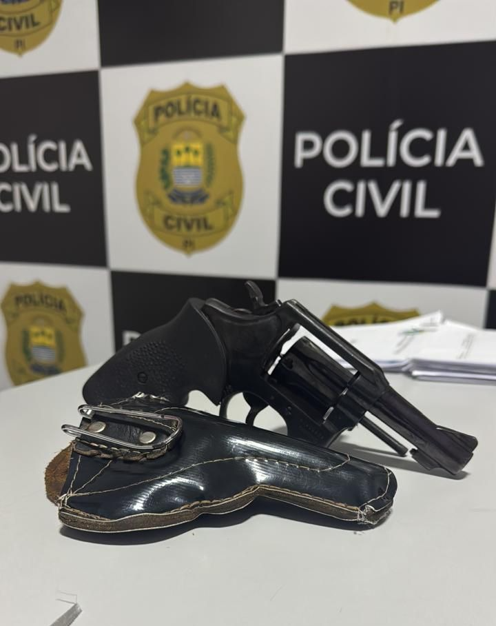 Polícia Civil prende homem por tráfico e posse ilegal de arma em Teresina