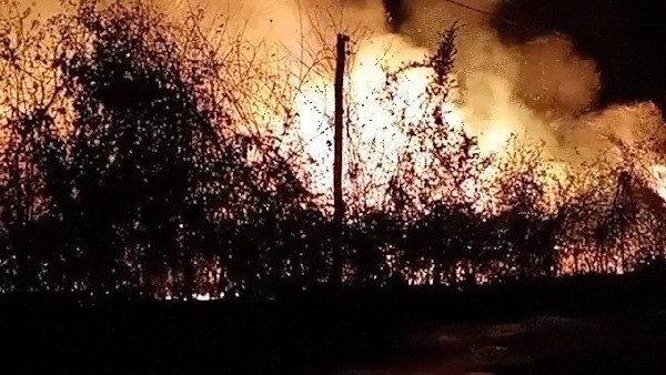 Incêndio atinge extensa área de vegetação em Monsenhor Gil