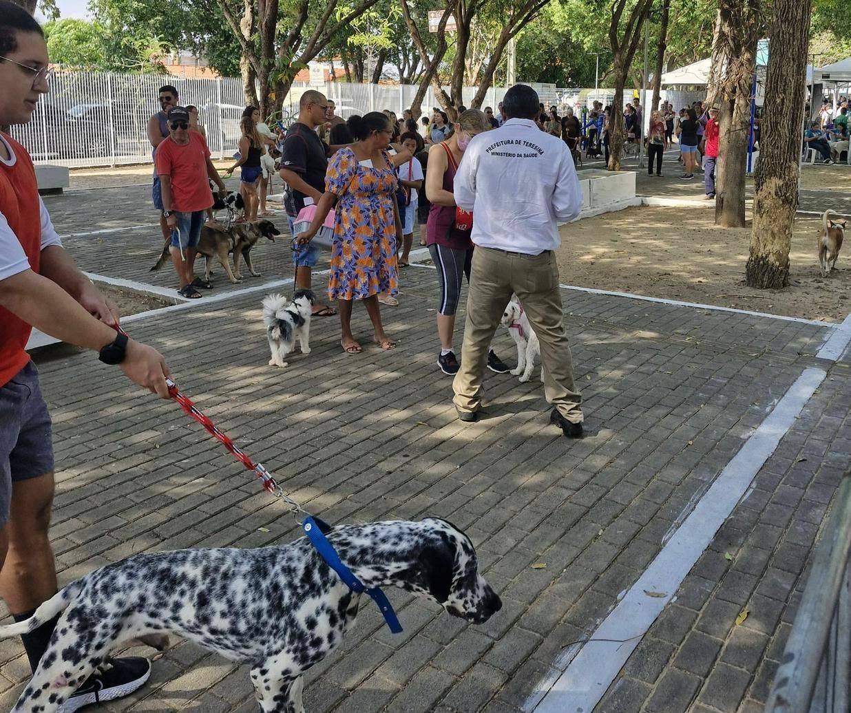 Mais de 500 cães e gatos são vacinados em ação da FMS no Parque