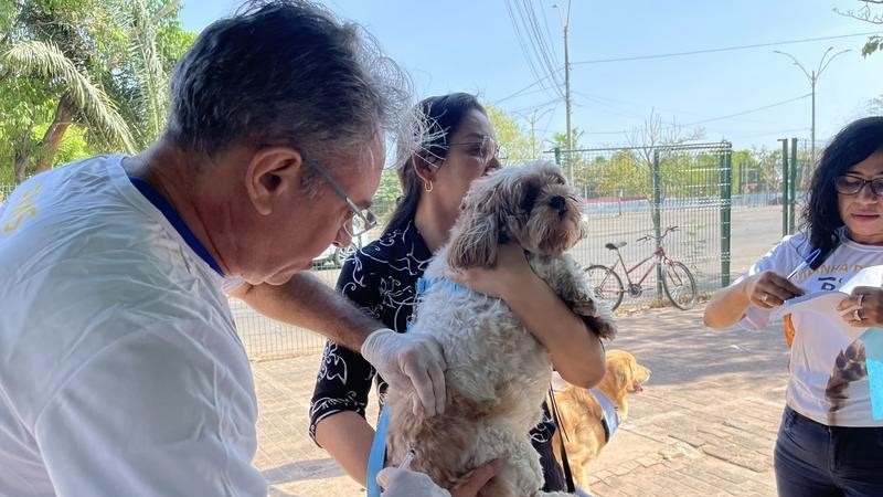 Vacinação contra raiva chega às zonas Norte e Leste no dia 22
