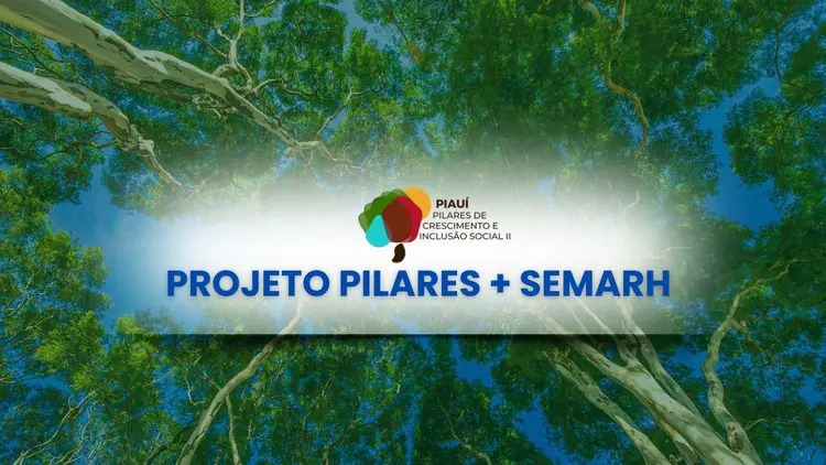 Piauí lança seletivo para consultores em prevenção a incêndios florestais