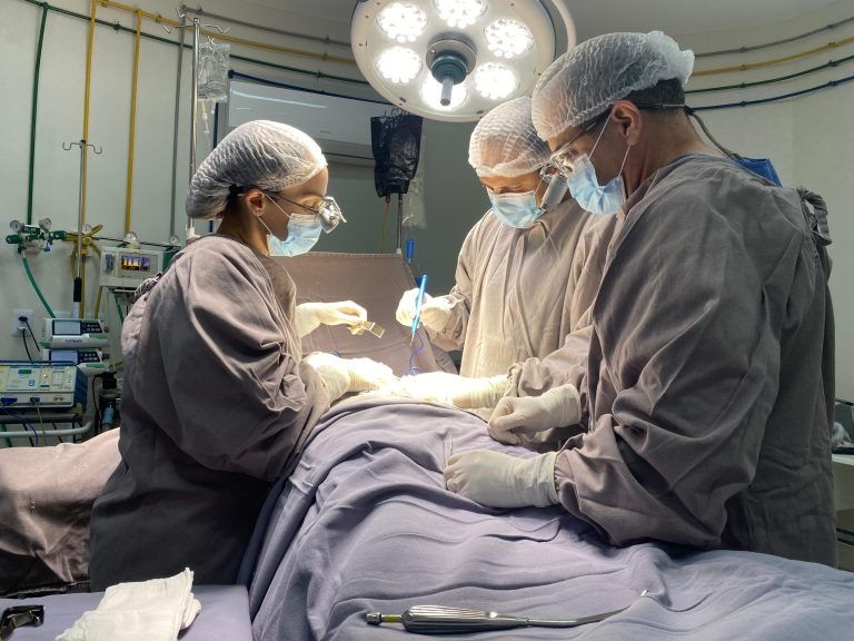 Piauí alcança marca histórica em transplantes e doações de órgãos