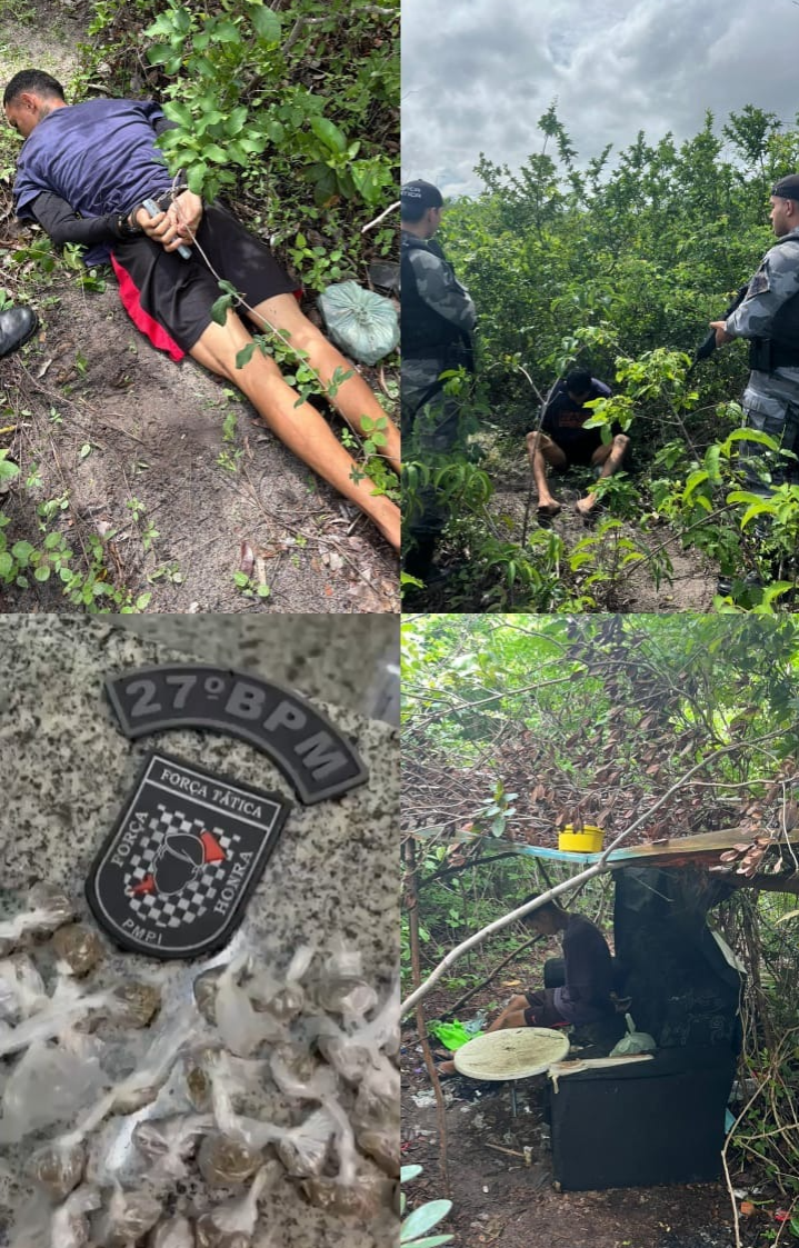 Força Tática detém homem e apreende drogas em área de mata em Parnaíba