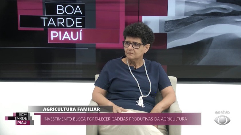 Investimentos na agricultura familiar fortalecem renda de produtores no Piauí