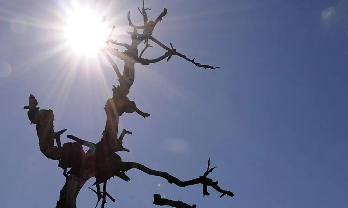 Sul do Piauí tem madrugadas frias e tardes secas