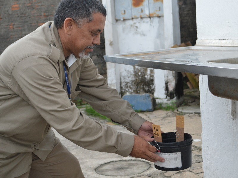 FMS instala armadilhas para combater mosquito da dengue