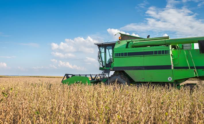 Produção agrícola do Piauí registra queda de R$ 95 milhões em 2023, aponta IBGE