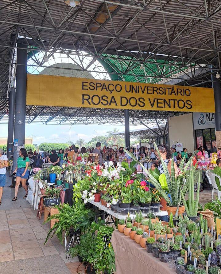 UFPI recebe mais uma edição da Feirinha Verde neste domingo (29)