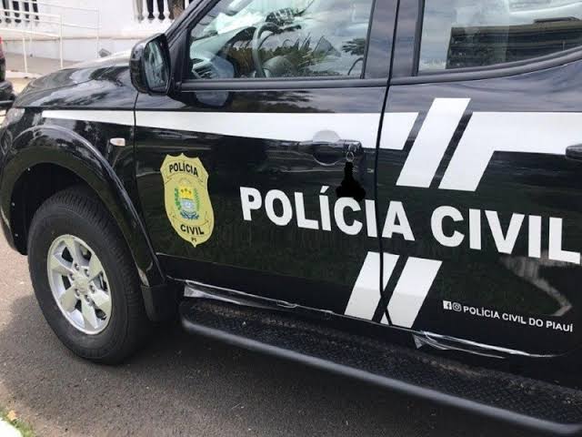 Mulher é presa por aplicar golpe em idoso que perdeu R$ 200 mil no Piauí