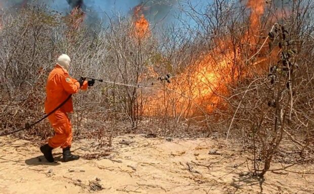 Focos de incêndios no Brasil já são 76% maiores que em 2023, afirma Inpe