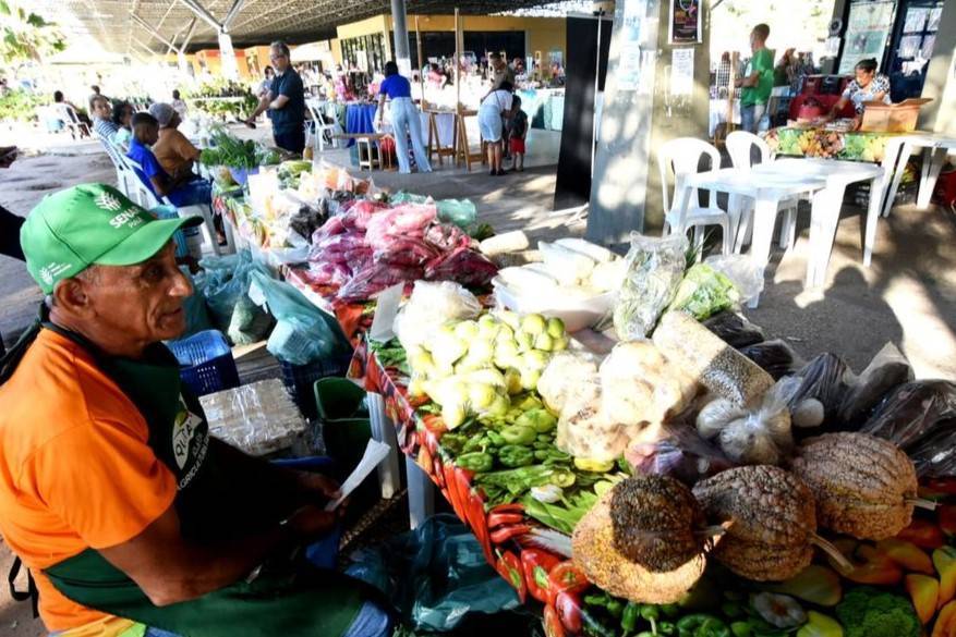 G20 Teresina: Delegações visitarão horta e Quitanda da Agricultura Familiar nesta sexta (24)