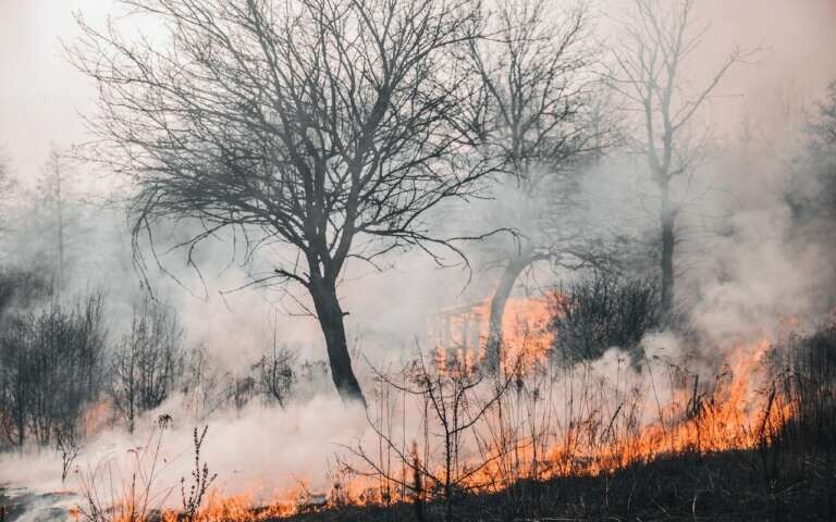 Defesa Civil alerta para aumento de queimadas no B-R-O BRÓ em Teresina