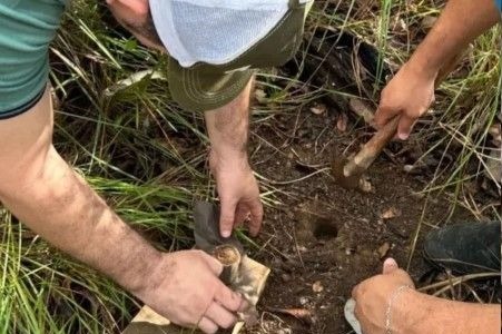 Uespi realiza pesquisa para quantificação de carbono no Cerrado piauiense