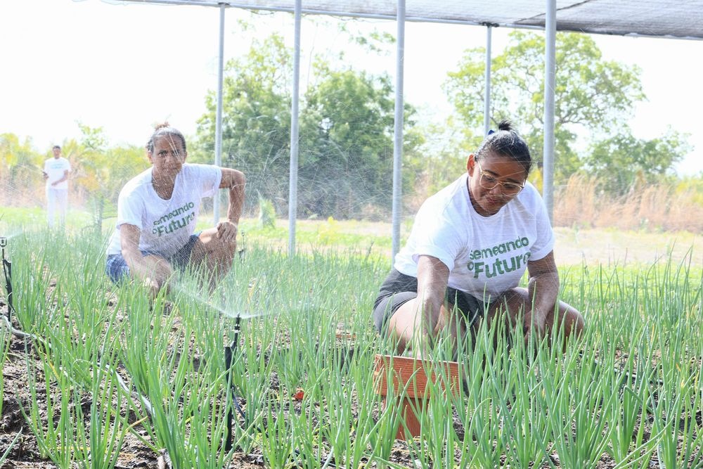 Agricultores são beneficiados com projeto 