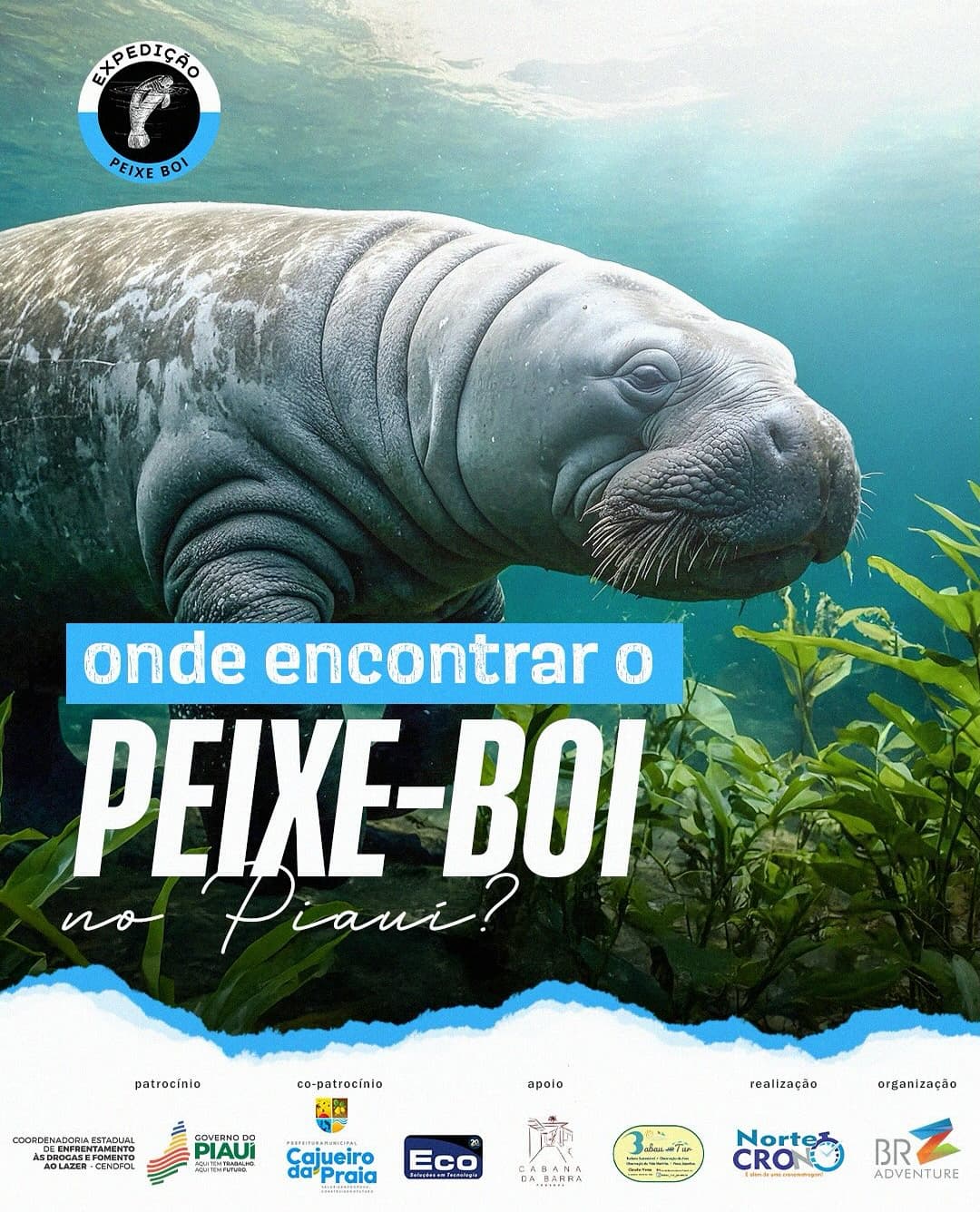 E​xpedição Peixe-boi reúne 70 remadores no litoral do Piauí