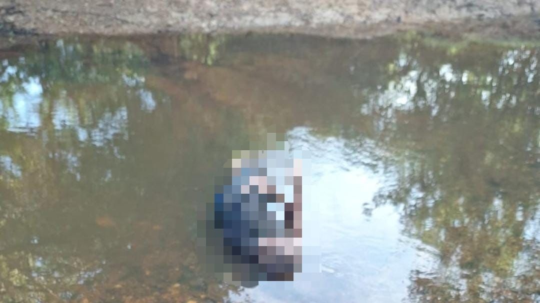 Corpo de homem é encontrado em córrego próximo à barragem no Piauí