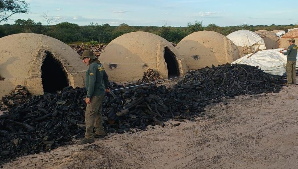 Operação identifica irregularidades em carvoarias e áreas de manejo no Piauí