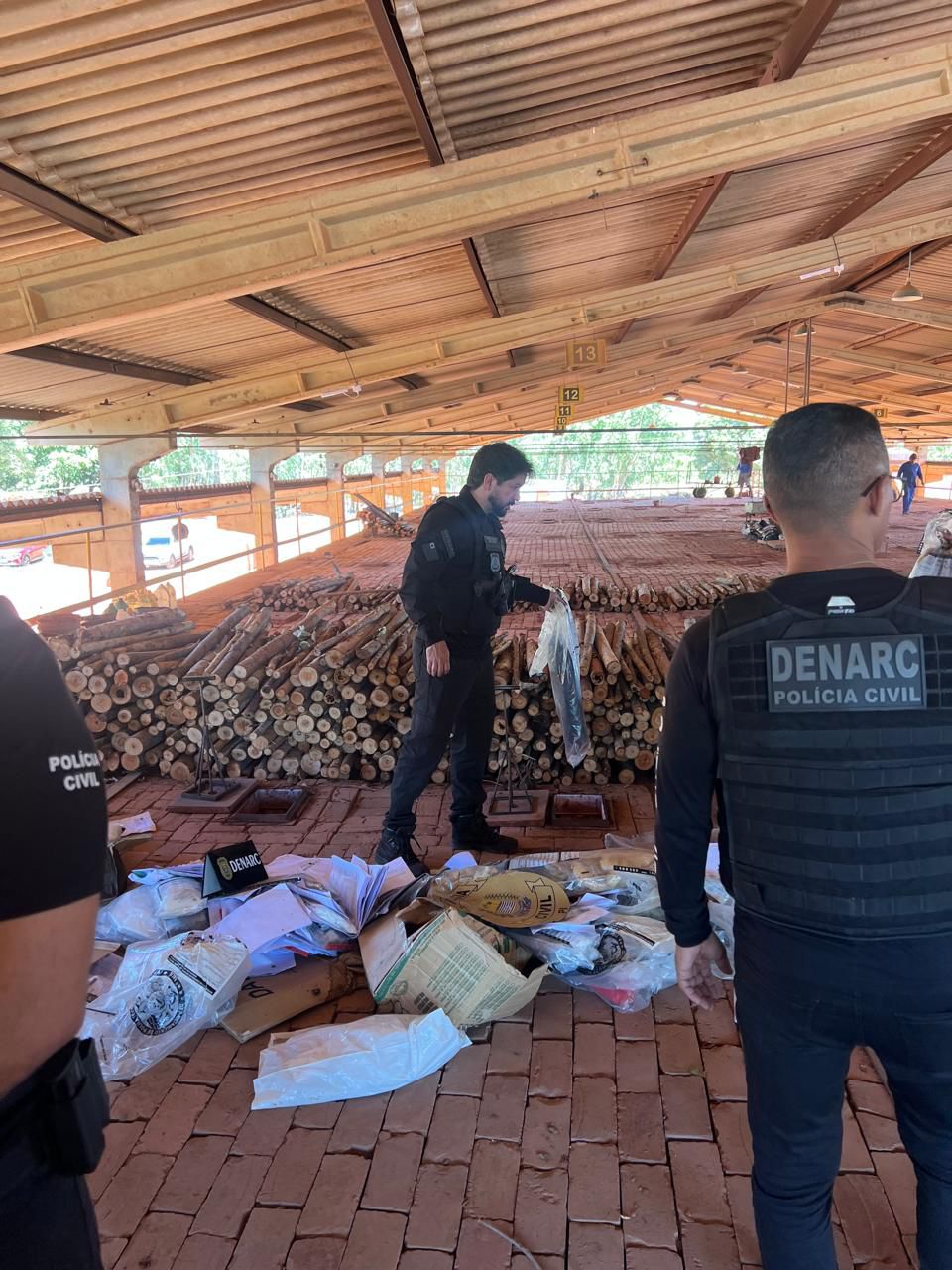DENARC incinera 200kg de drogas em operação