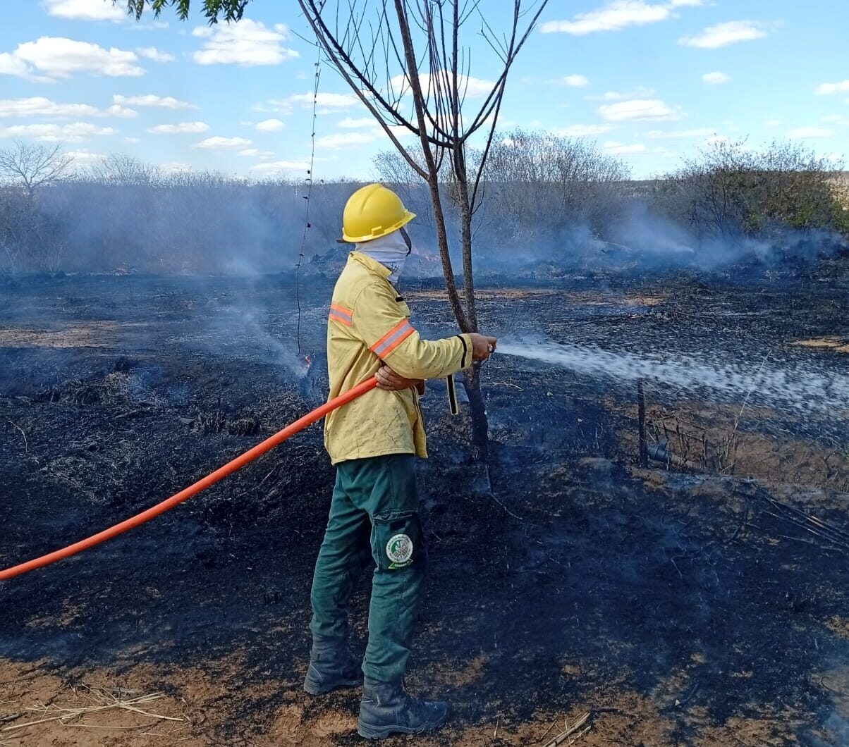 Brigadistas controlam incêndio de grande proporções em Bom Jesus