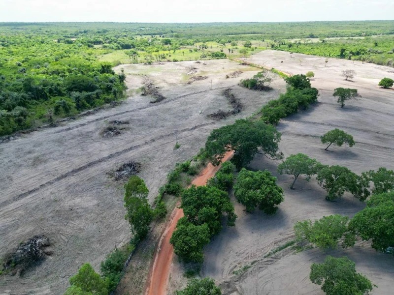 Refis Ambiental vai permitir descontos de até 90% em multas