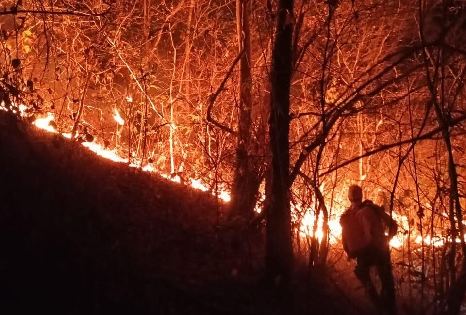 Brigadistas controlam incêndio no sul do Piauí