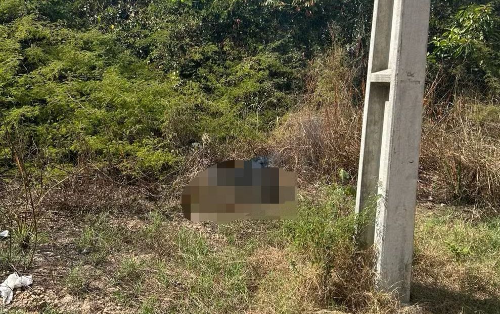 Corpo carbonizado é localizado em matagal na zona Leste de Teresina