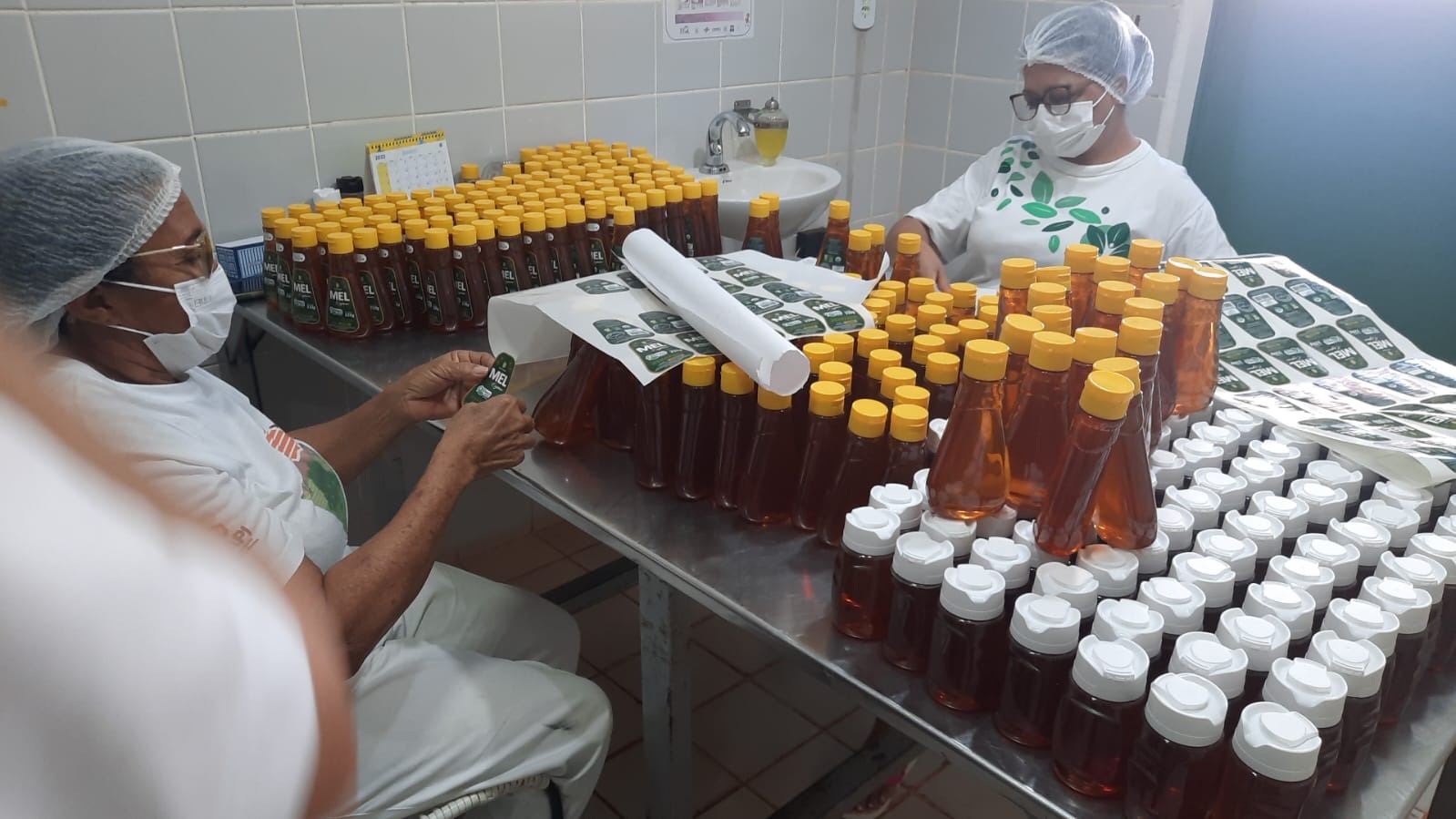 Governo avalia novos mercados para o mel do Piauí após aumento de tarifas