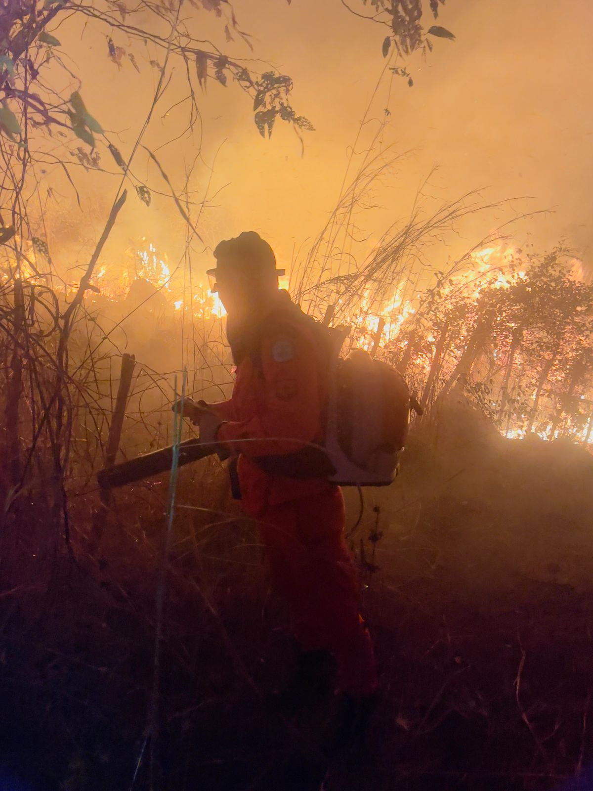 Incêndio de grande proporção é controlado após 16 horas de combate