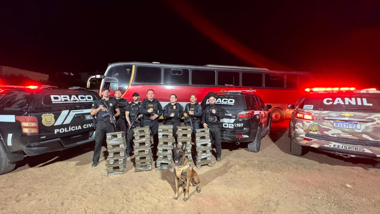 Polícia apreende 250 kg de skank e prende dois suspeitos em Bom Jesus